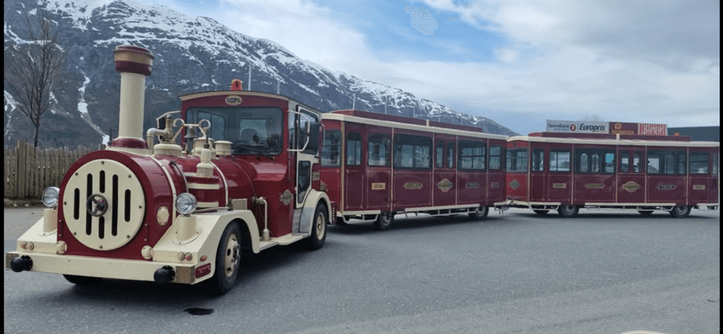 CITY TRAIN MÅLØY