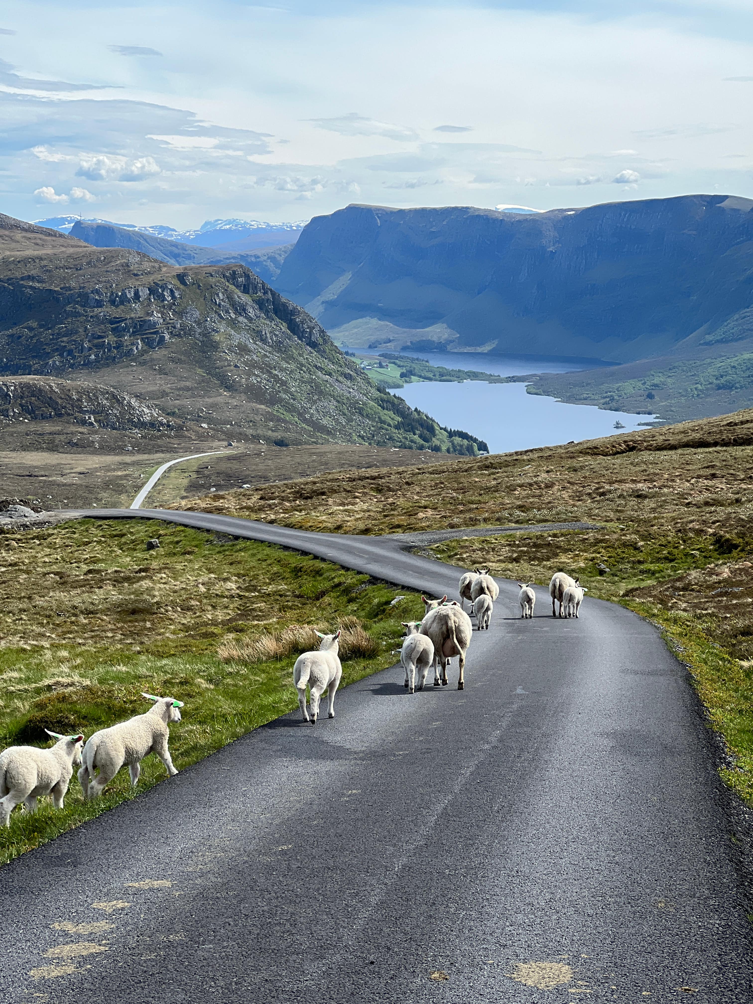 SCENIC VIEWS: WEST CAPE AND COASTAL VILLAGES