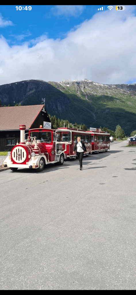 CITY TRAIN MÅLØY