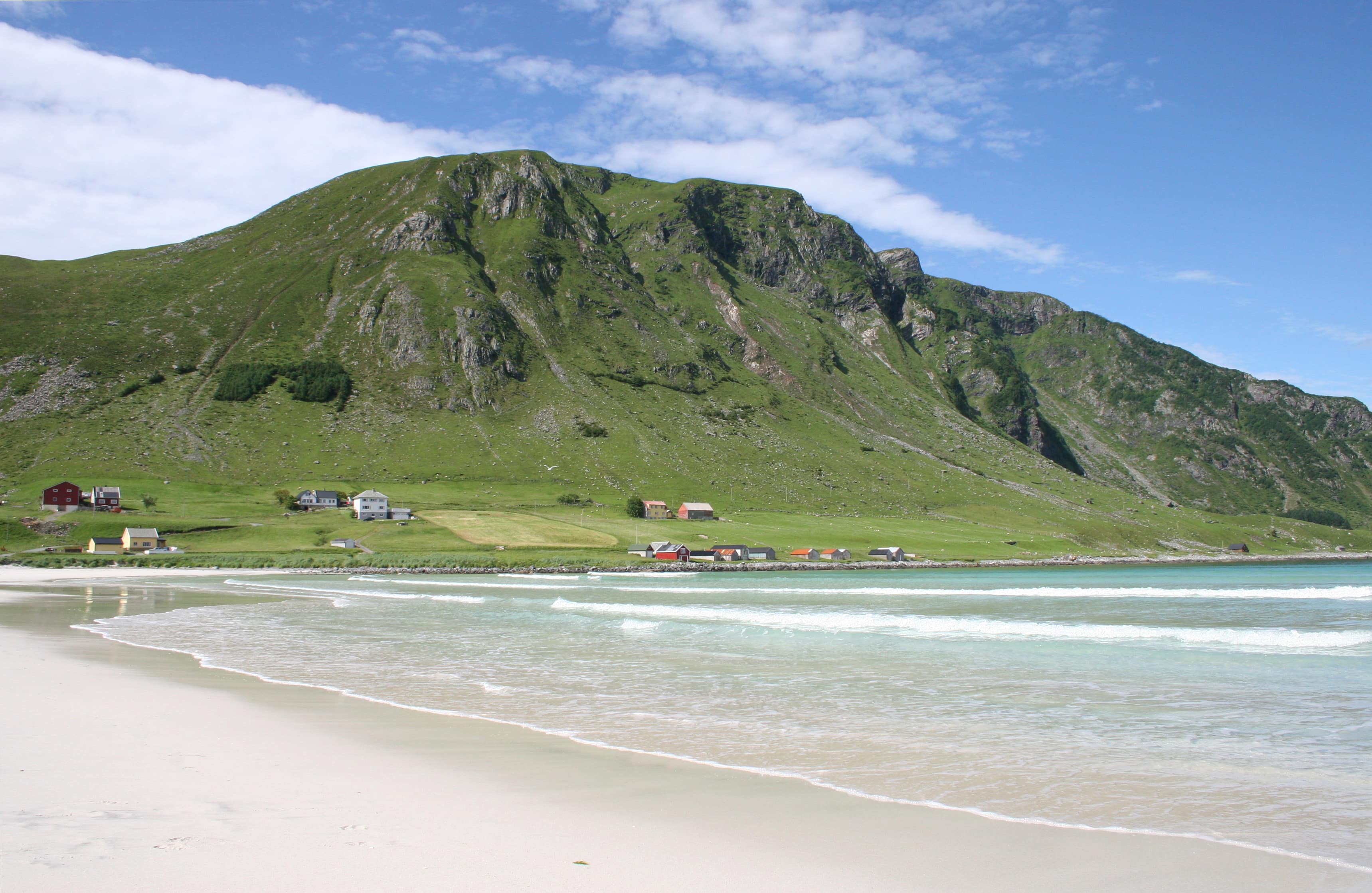 PANORAMIC BUS TOUR TO REFVIK BEACH AND KRÅKENES VIEWPOINT