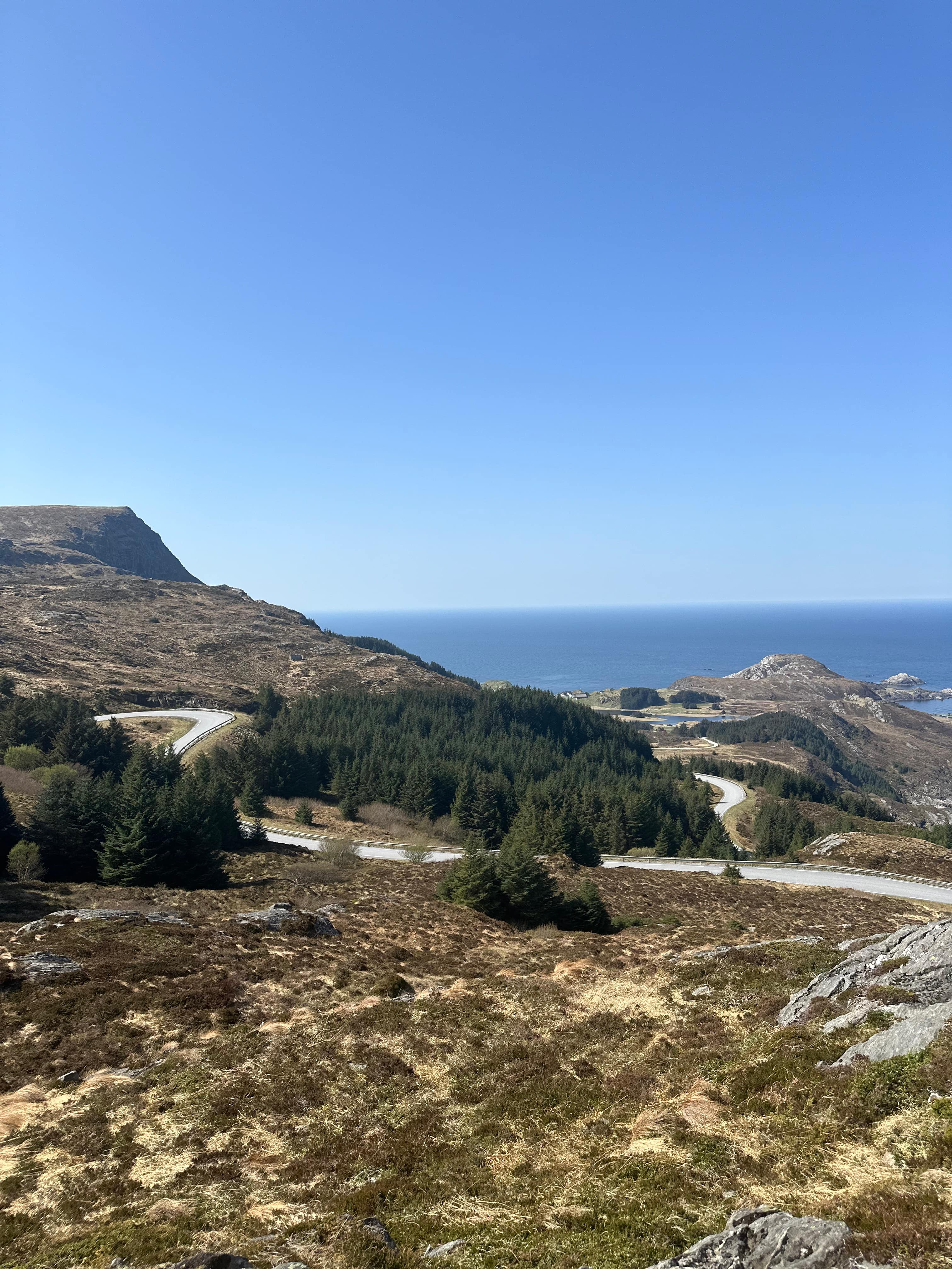 PANORAMIC BUS TOUR TO REFVIK BEACH AND KRÅKENES VIEWPOINT