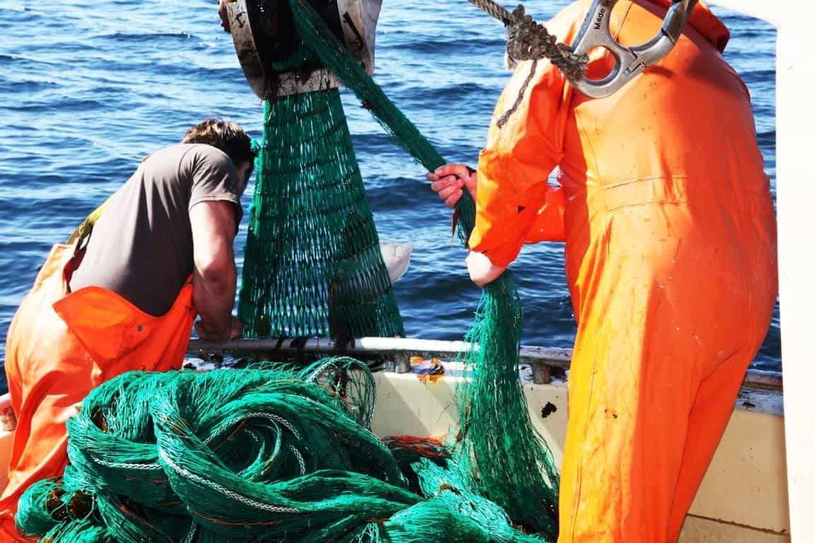 getyourguide.com get your guide trip tripadvisor west coast sea ocean olden nordfjord discover experience memories the best måløy maloy port harbor cruise tourist besttours lighthouse lights instagram photo spot sunset western best view views beach norwegian bike ride tours culture fishing local work